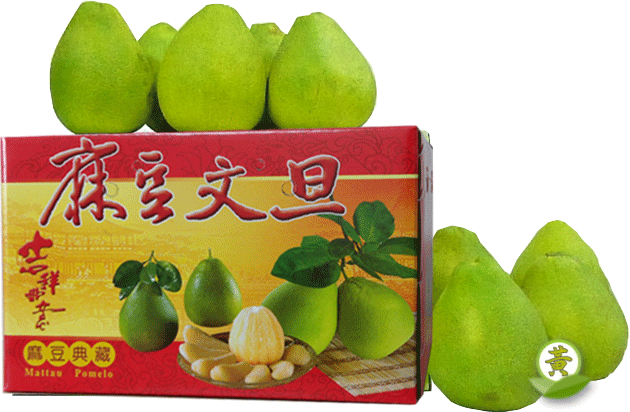 精選麻豆文旦 10 斤裝